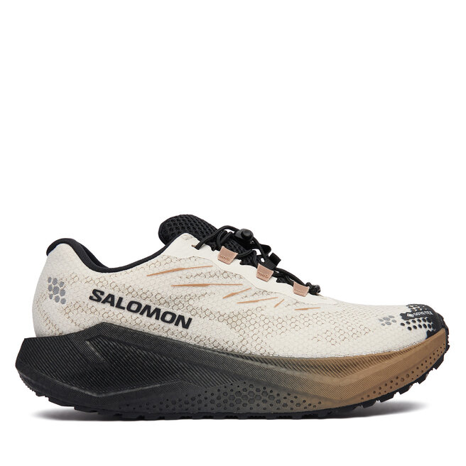 Buty do biegania Salomon Aero Blaze 4 gtx GORE-TEX L45403200 Beżowy - męskie