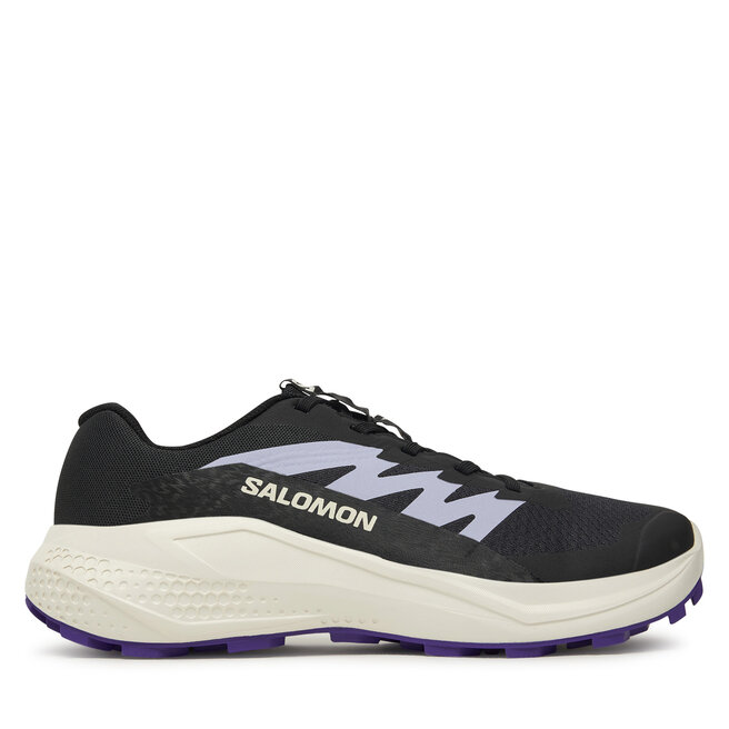 Buty do biegania Salomon Alphaglide L47801800 Szary - kobiece