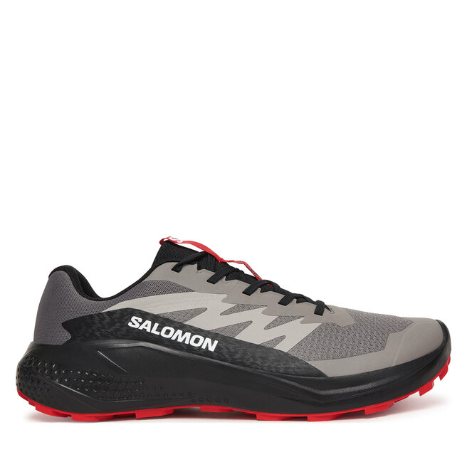 Buty do biegania Salomon Alphaglide L48000800 Szary - męskie